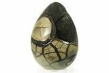 Septarian Dragon Egg Geode - Black Crystals #384466-1
